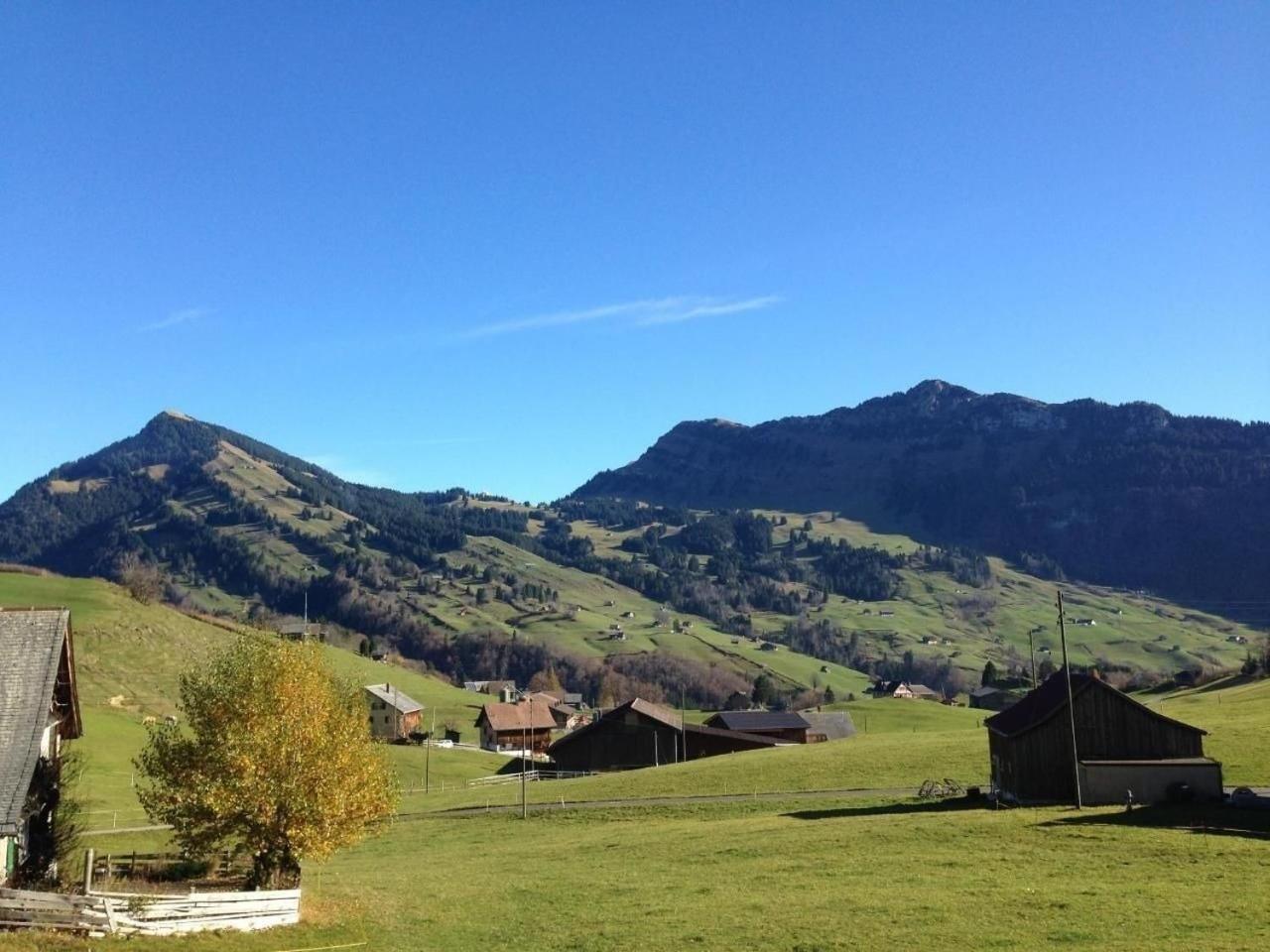 Ferienhaus Seuzach Nesslau エクステリア 写真